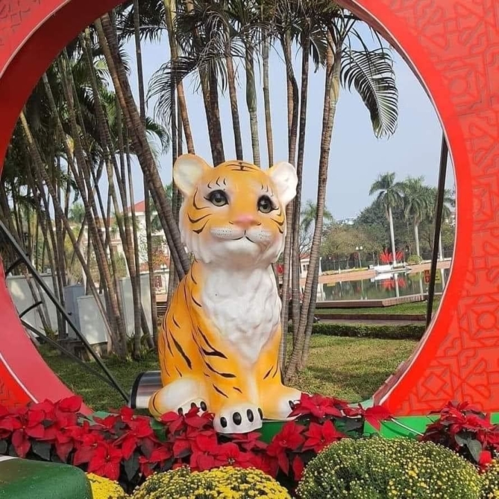 "Đáng yêu" như Hổ ở Bắc Ninh