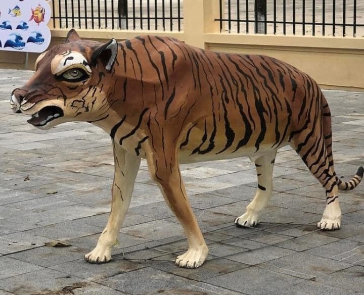 Cười đau bụng với tạo hình linh vật Hổ ở Tuyên Quang